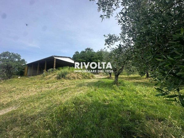terreno agricolo in vendita a Collevecchio in zona Poggio Sommavilla