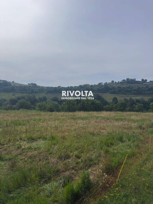 terreno in vendita a Collevecchio