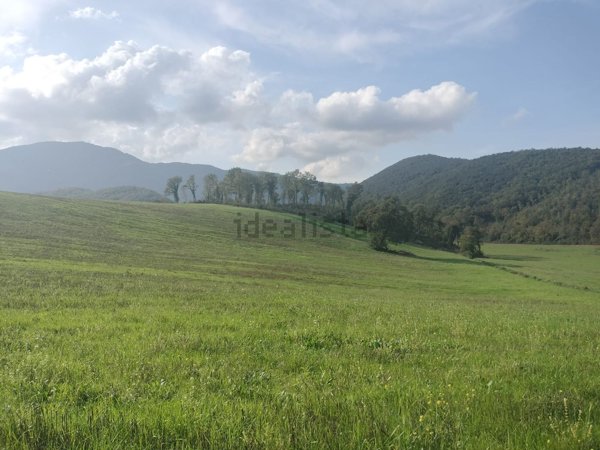 quadrivano in vendita a Colli sul Velino