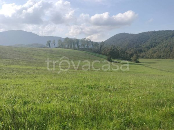 terreno agricolo in vendita a Colli sul Velino