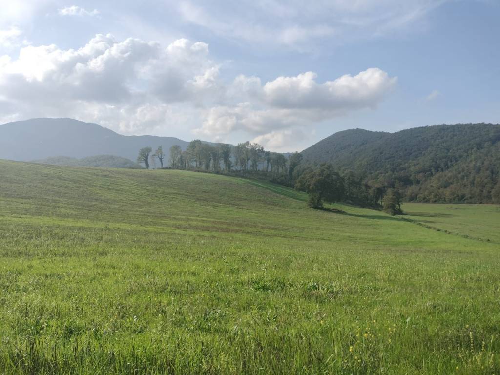 casa indipendente in vendita a Colli sul Velino