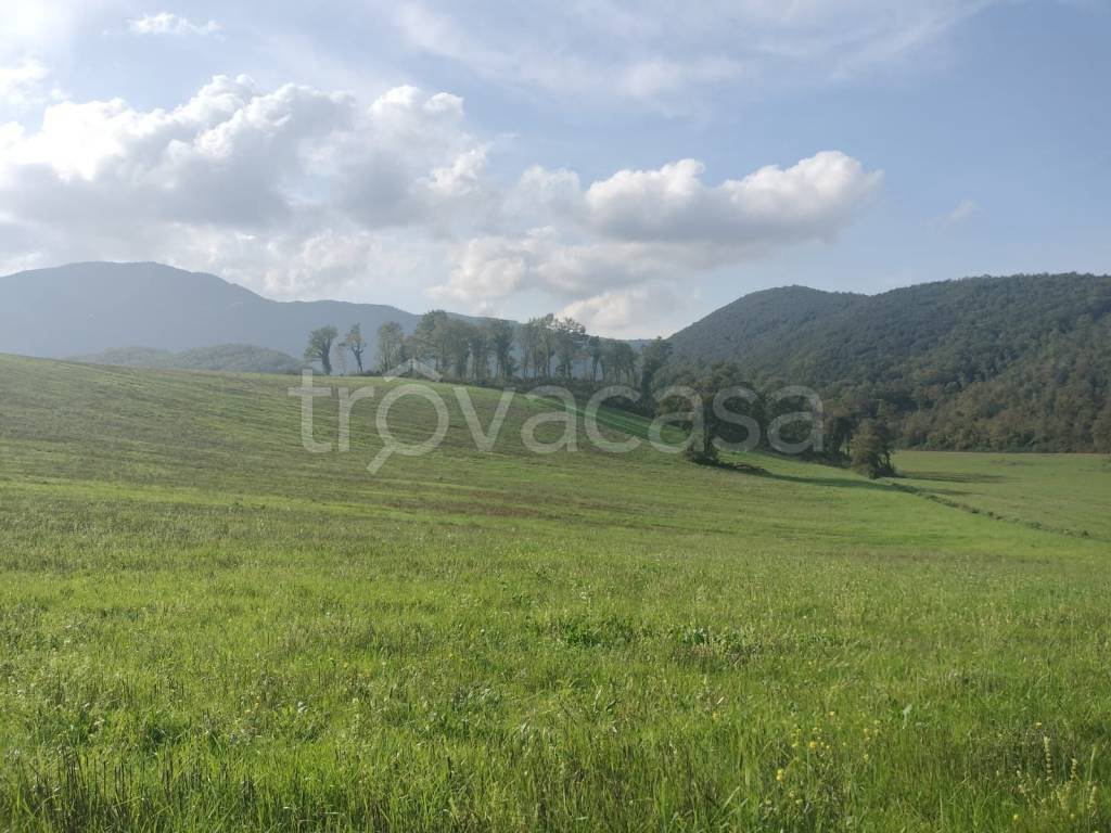 casa indipendente in vendita a Colli sul Velino