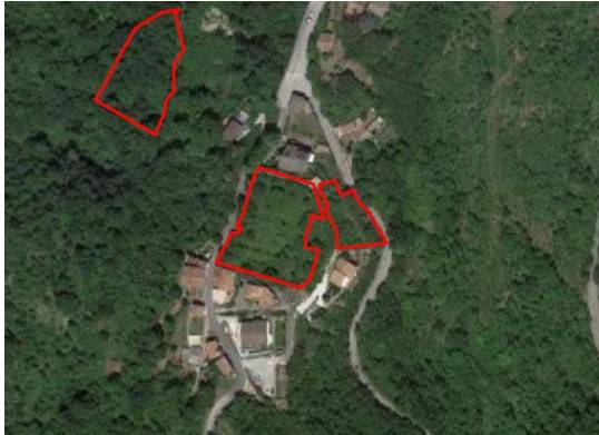 terreno agricolo in vendita a Concerviano