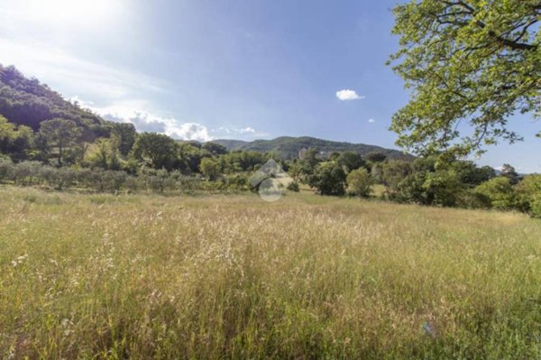 terreno agricolo in vendita a Contigliano