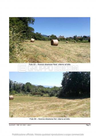 terreno agricolo in vendita a Contigliano