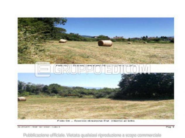 terreno agricolo in vendita a Contigliano