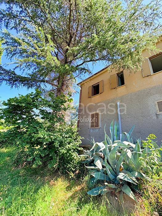 casa indipendente in vendita a Cottanello in zona Castiglione