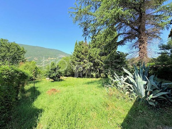 casa indipendente in vendita a Cottanello in zona Castiglione