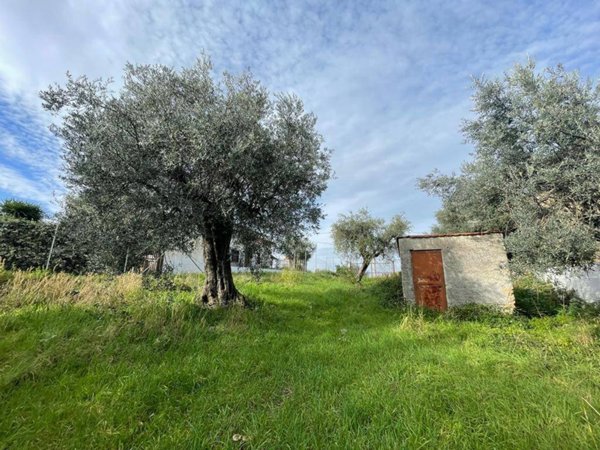 terreno agricolo in vendita a Fara in Sabina