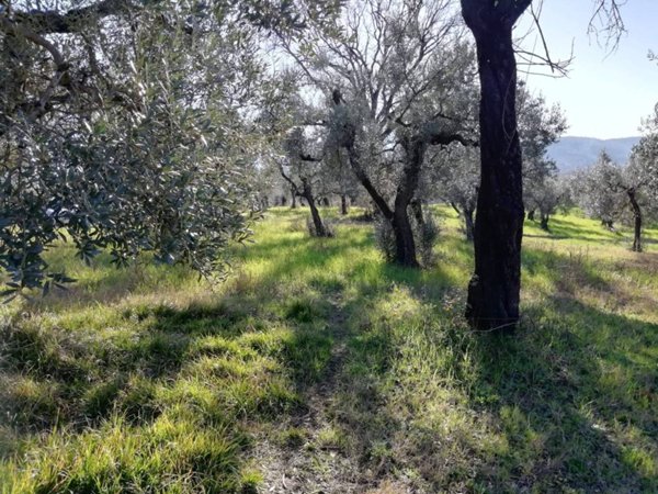 terreno edificabile in vendita a Fara in Sabina in zona Borgo Quinzio