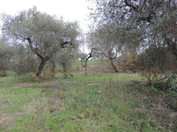 terreno agricolo in vendita a Fara in Sabina in zona Borgo Quinzio