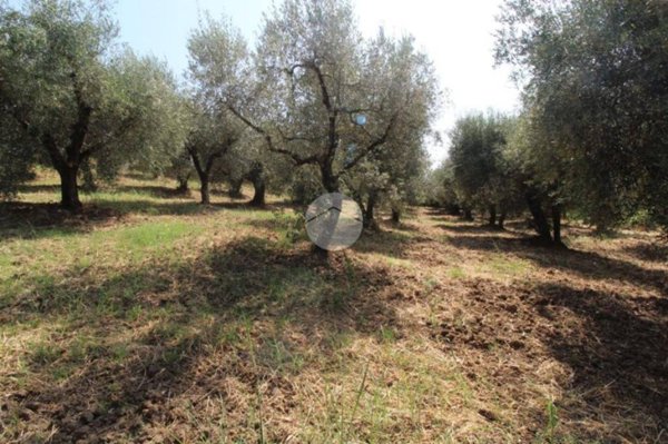 terreno agricolo in vendita a Fara in Sabina in zona Passo Corese