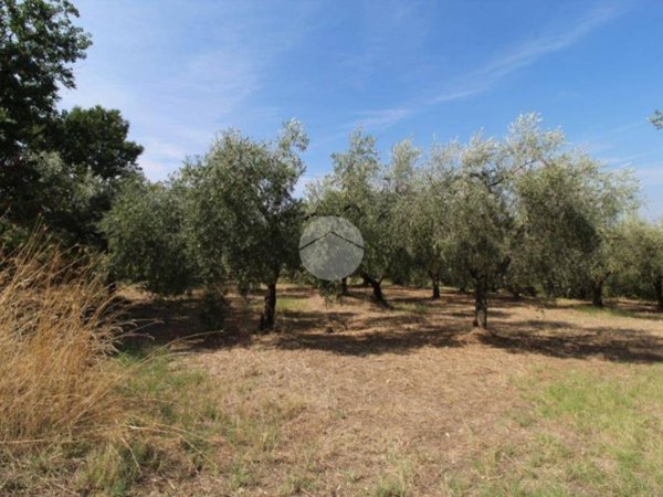 terreno agricolo in vendita a Fara in Sabina in zona Farfa