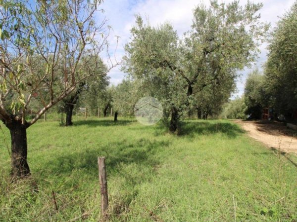 terreno agricolo in vendita a Fara in Sabina in zona Passo Corese