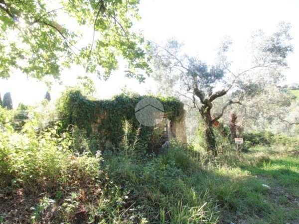 terreno agricolo in vendita a Fara in Sabina in zona Primecase