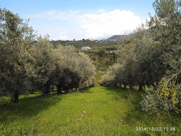 terreno agricolo in vendita a Fara in Sabina in zona Coltodino