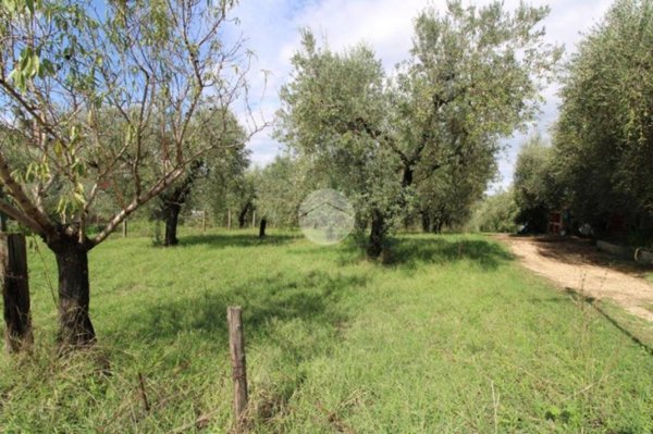 terreno agricolo in vendita a Fara in Sabina in zona Passo Corese