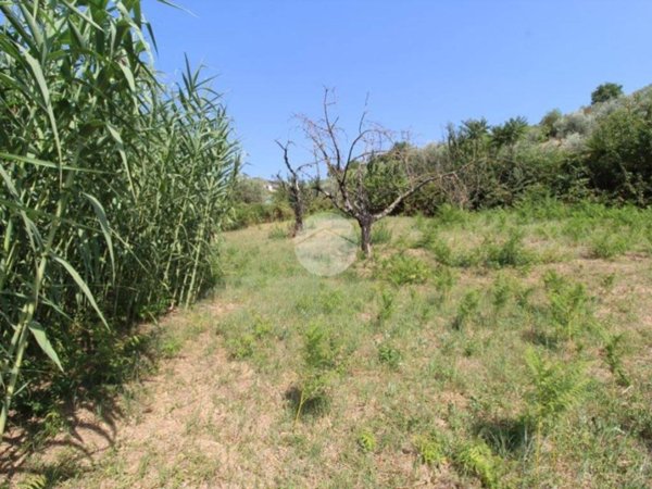 terreno agricolo in vendita a Fara in Sabina in zona Farfa