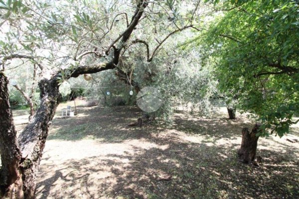terreno agricolo in vendita a Fara in Sabina in zona Talocci