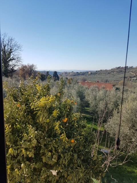 casa indipendente in vendita a Fara in Sabina