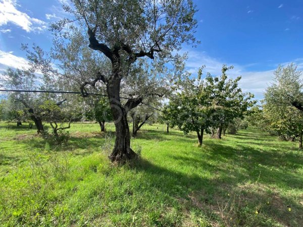 casa indipendente in vendita a Fara in Sabina in zona Passo Corese
