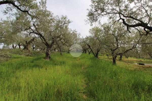 terreno agricolo in vendita a Fara in Sabina in zona Borgo Quinzio