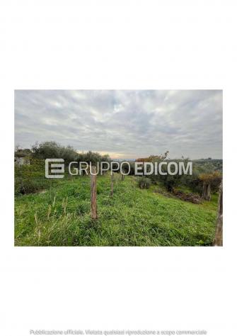 terreno agricolo in vendita a Fara in Sabina in zona Primecase