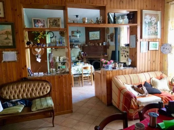 immagine annuncio 0 di 15