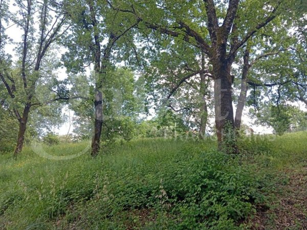 terreno agricolo in vendita a Fara in Sabina