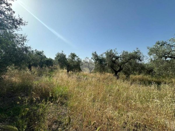 terreno agricolo in vendita a Fara in Sabina in zona Corese Terra
