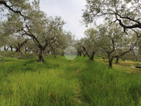 terreno agricolo in vendita a Fara in Sabina in zona Borgo Quinzio