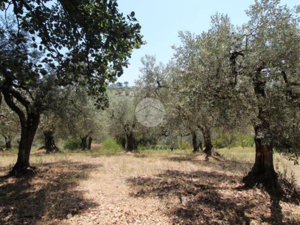 terreno agricolo in vendita a Fara in Sabina in zona Borgo Quinzio