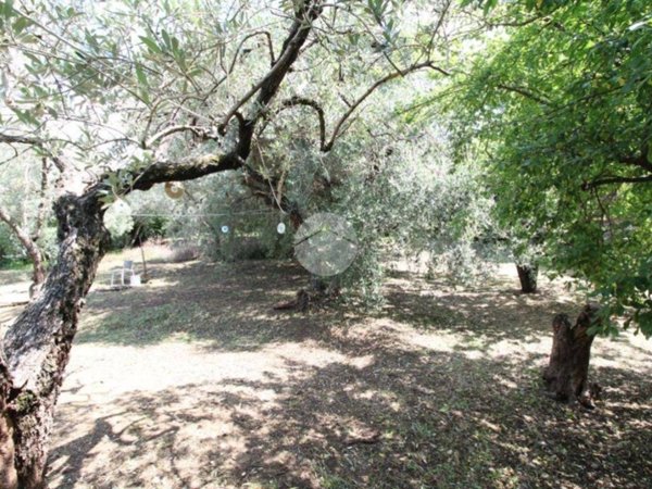 terreno agricolo in vendita a Fara in Sabina in zona Talocci