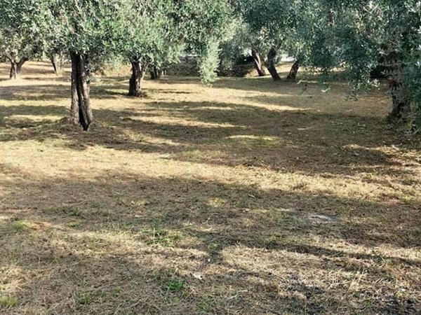 terreno agricolo in vendita a Fara in Sabina