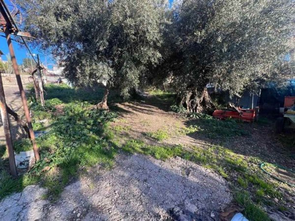 terreno agricolo in vendita a Fara in Sabina in zona Corese Terra