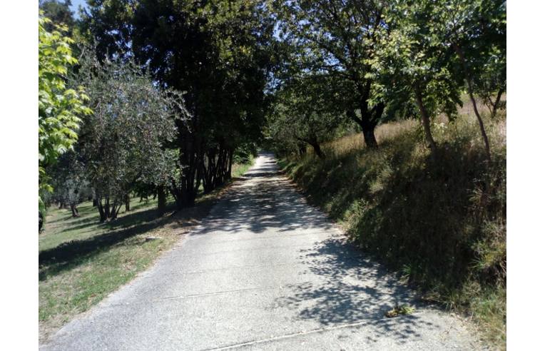 casa indipendente in vendita a Fara in Sabina