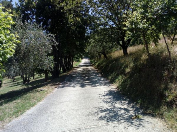 casa indipendente in vendita a Fara in Sabina