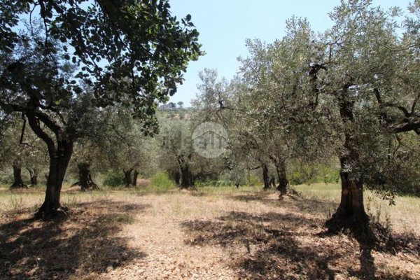 terreno agricolo in vendita a Fara in Sabina in zona Borgo Quinzio