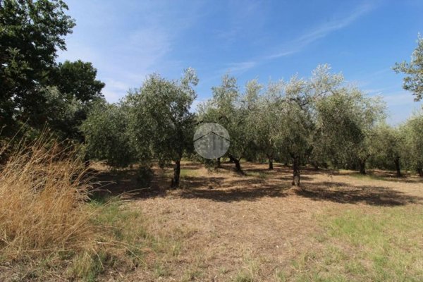 terreno agricolo in vendita a Fara in Sabina in zona Borgo Quinzio