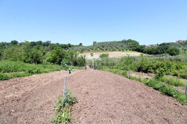 terreno agricolo in vendita a Fara in Sabina