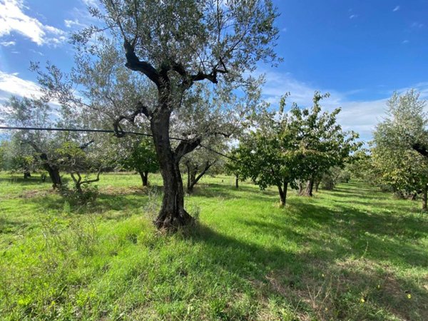 casa indipendente in vendita a Fara in Sabina