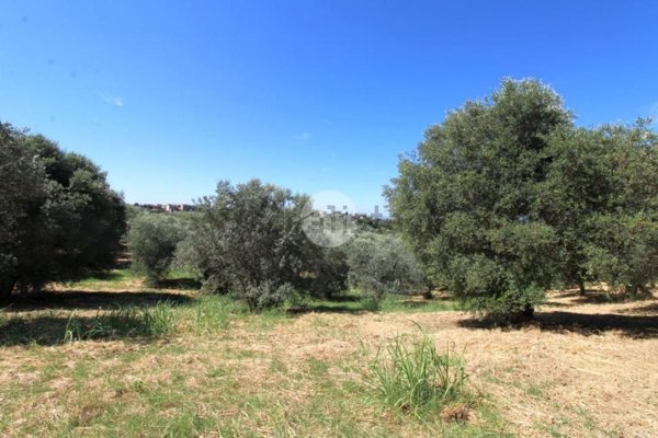 appartamento in vendita a Fara in Sabina in zona Passo Corese