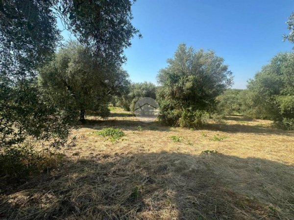 terreno agricolo in vendita a Fara in Sabina in zona Passo Corese