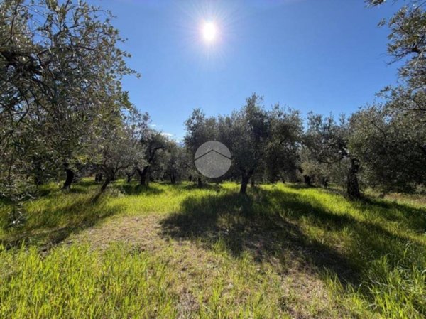 terreno agricolo in vendita a Fara in Sabina in zona Passo Corese