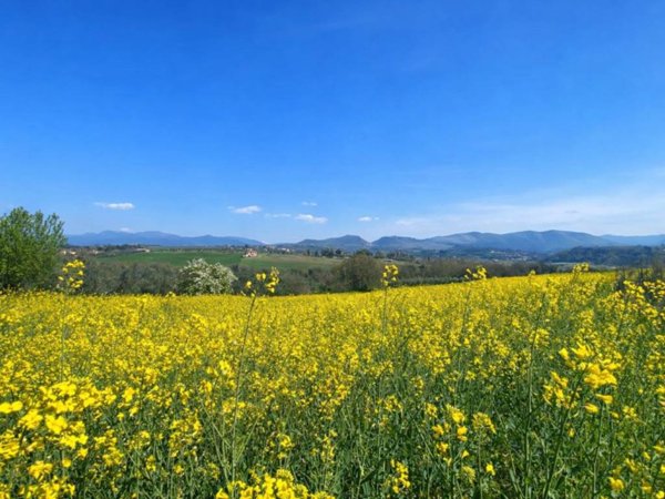 terreno agricolo in vendita a Fara in Sabina in zona Passo Corese