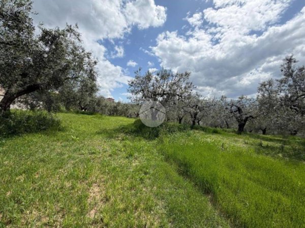 terreno agricolo in vendita a Fara in Sabina in zona Borgo Quinzio