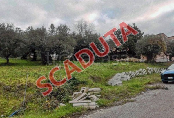 terreno agricolo in vendita a Fara in Sabina in zona Primecase