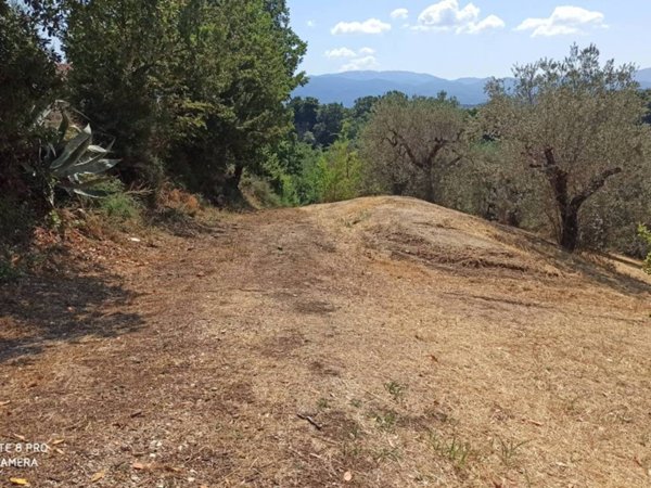 terreno agricolo in vendita a Fara in Sabina in zona Borgo Quinzio