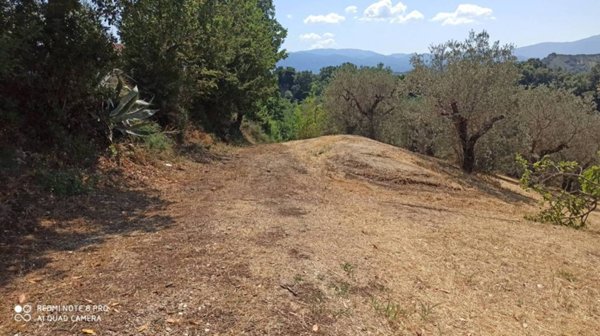 terreno agricolo in vendita a Fara in Sabina in zona Borgo Quinzio