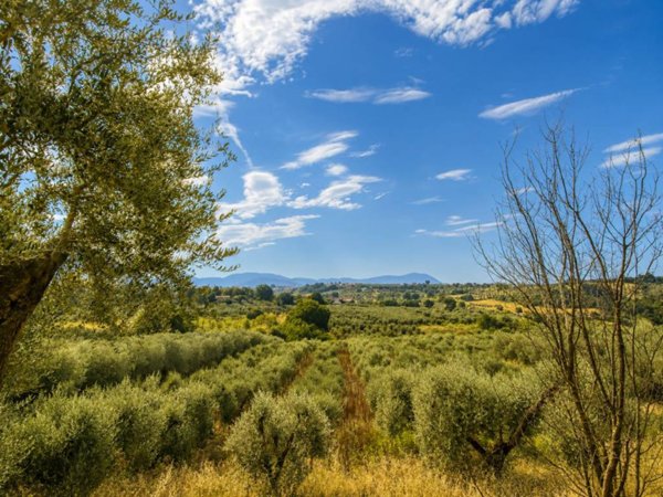 terreno agricolo in vendita a Fara in Sabina in zona Coltodino
